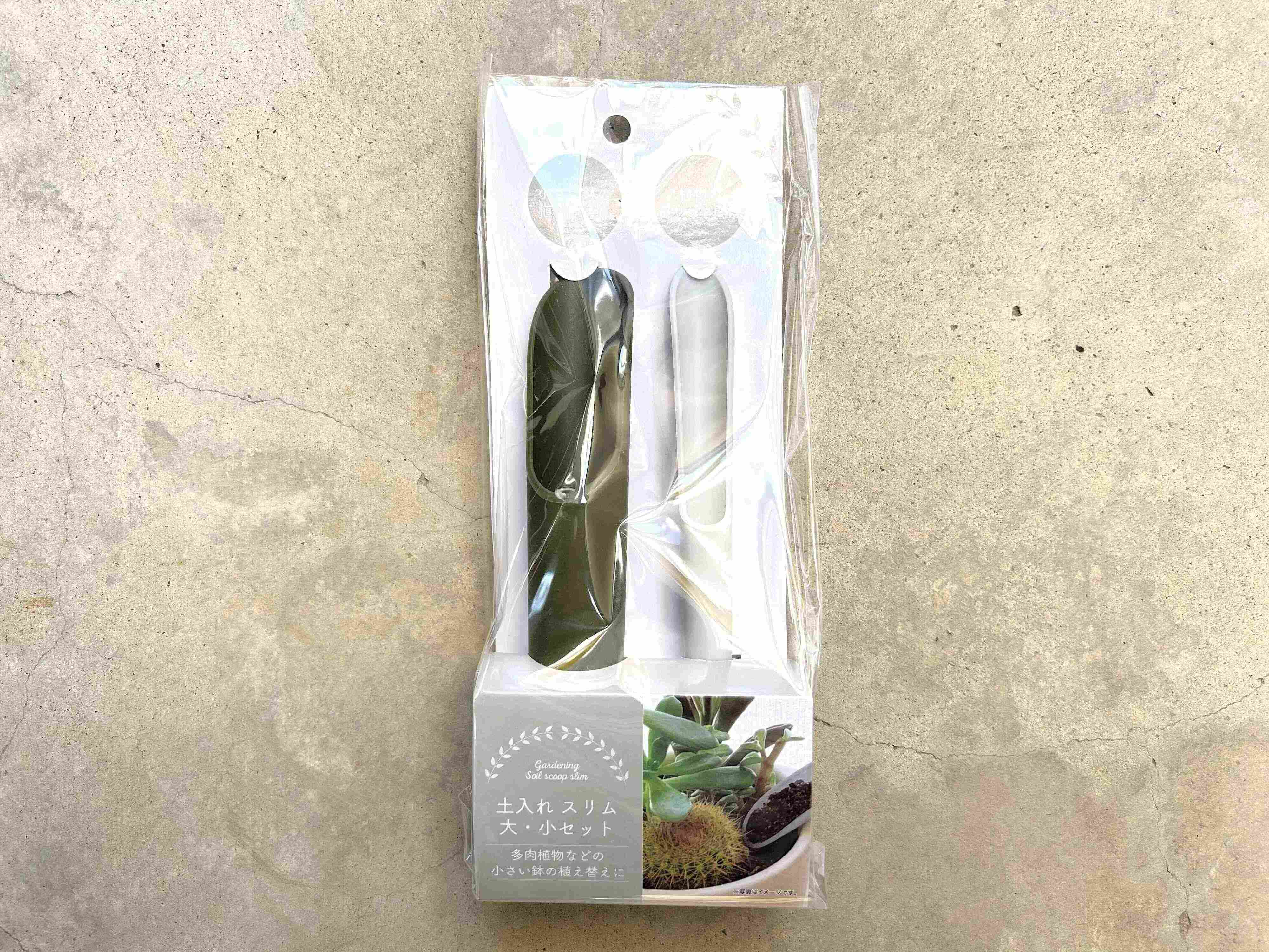 セリア　多肉植物　100均