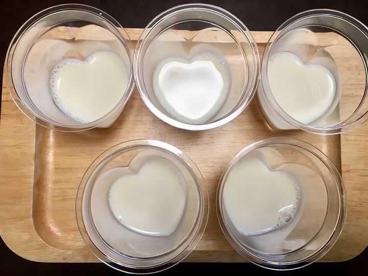 プチッ もできます 100均のかわいいプリンカップ サンキュ プチッ もできます 100均のかわいいプリンカップ サンキュ