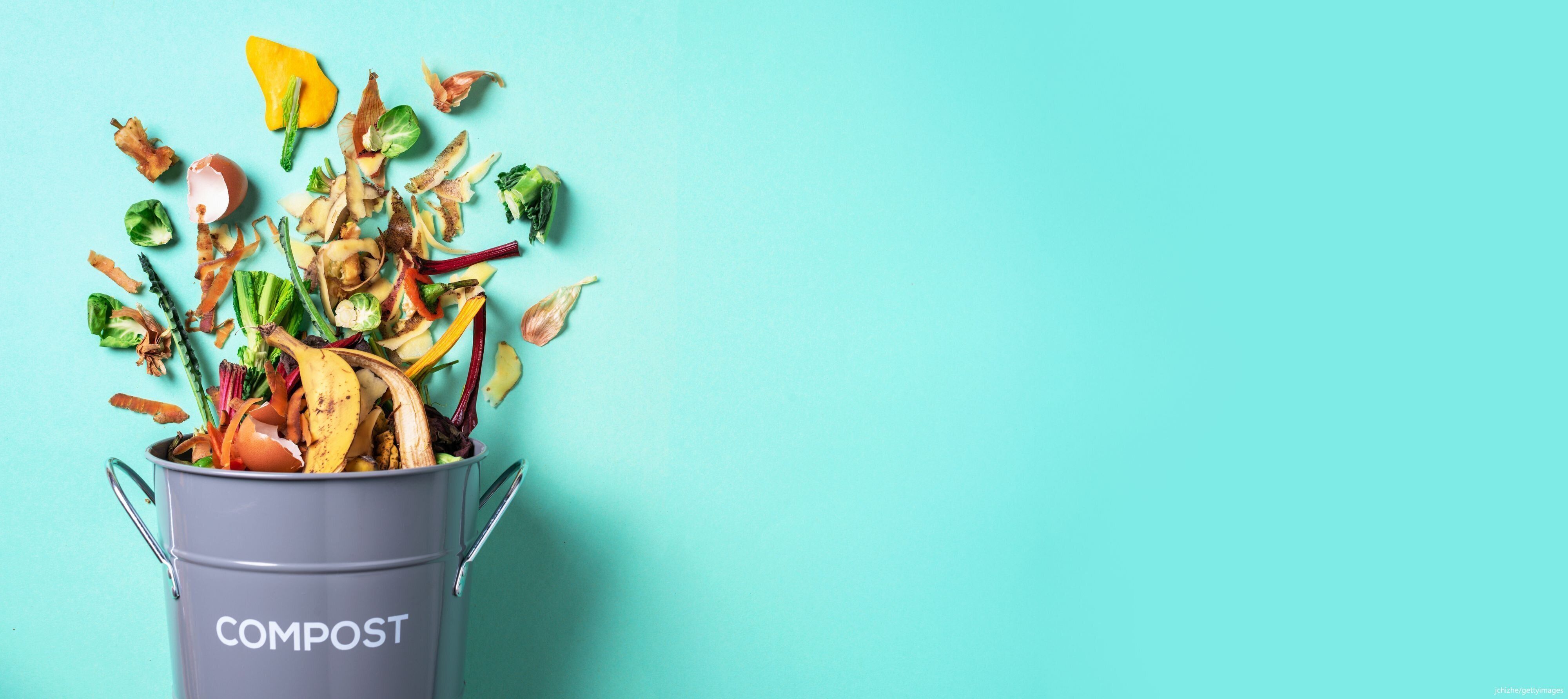 コンポスト写真