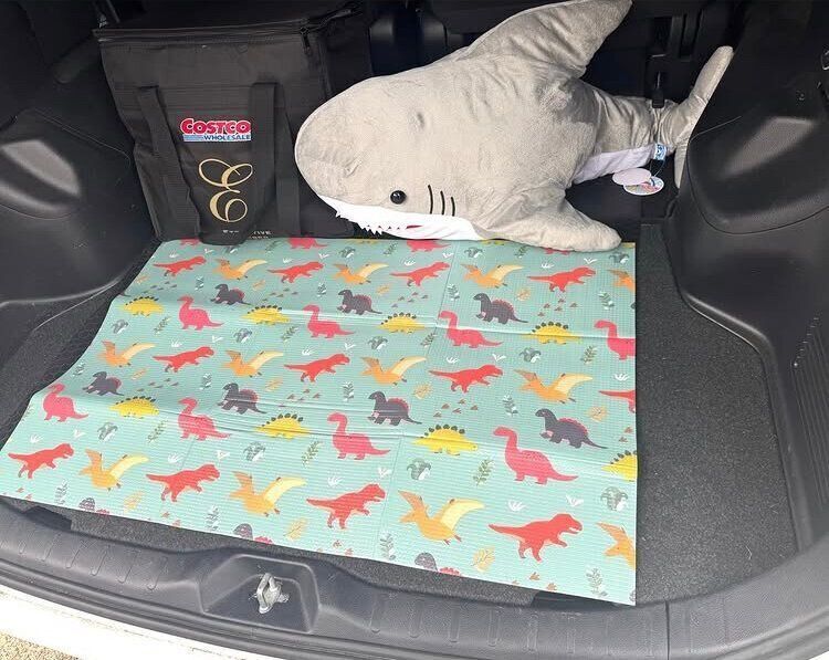 レジャーシート