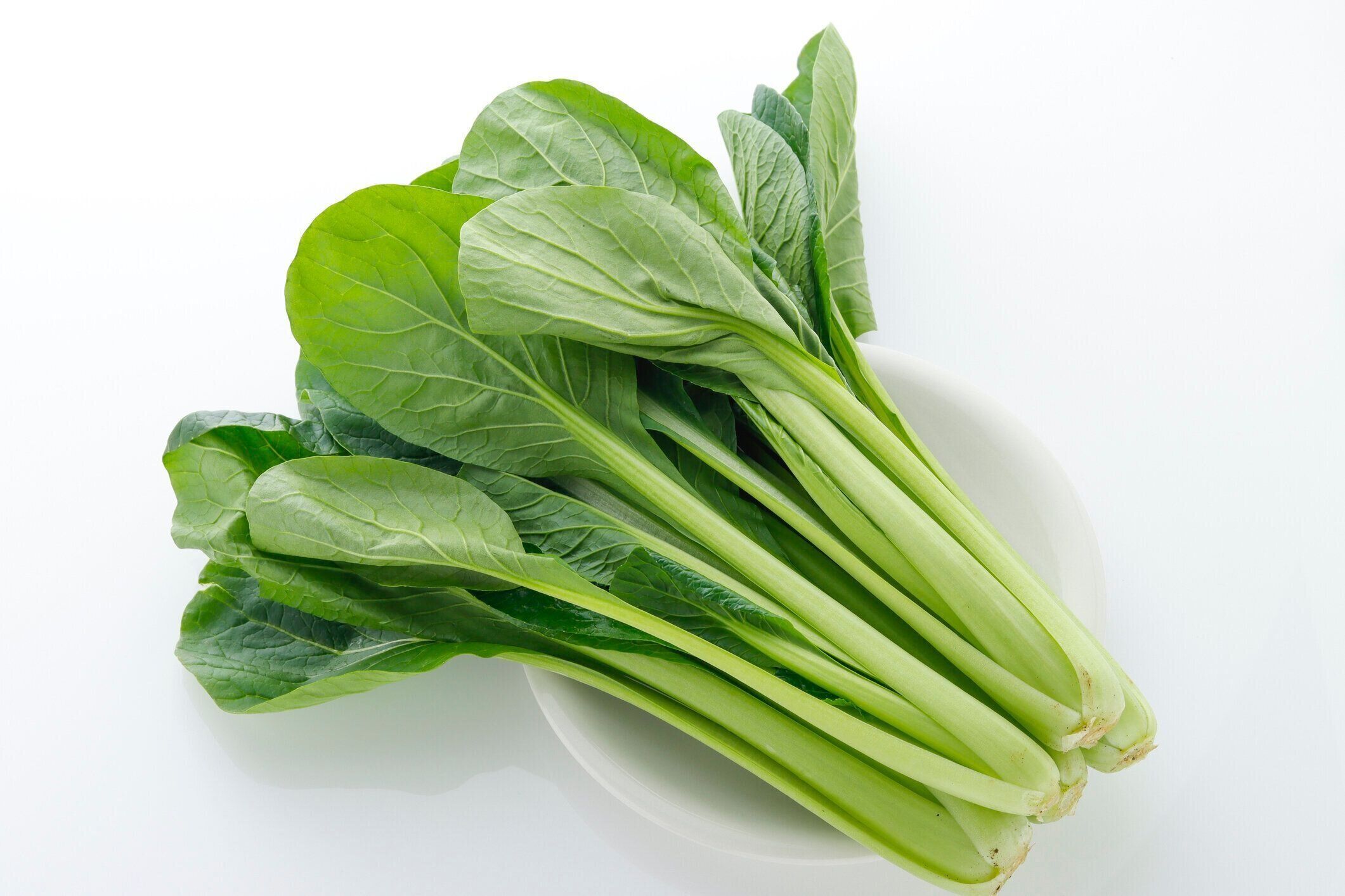 鮮緑の小松菜と白い背景