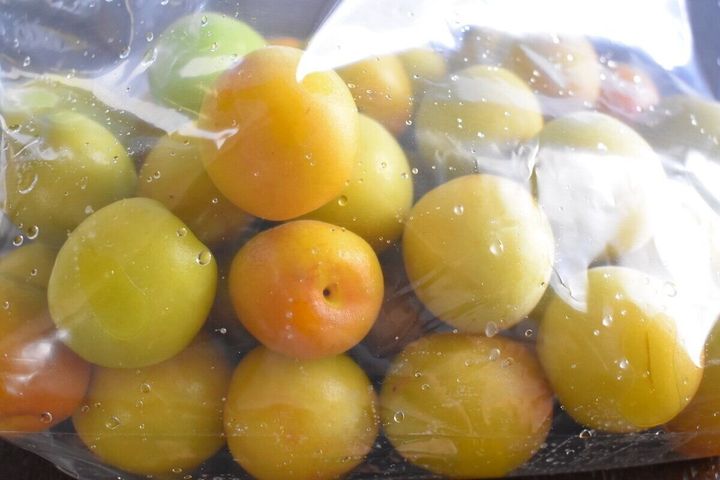 梅干し 密封袋を使えば少量でも簡単 ちょうどいい塩加減は何パーセント サンキュ 梅干し 密封袋を使えば少量でも簡単 ちょうどいい塩加減は何パーセント サンキュ