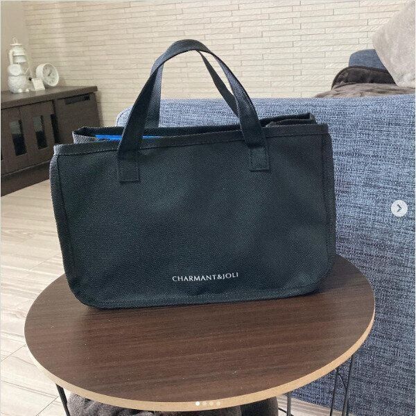 【キャンドゥ】ホームバッグでお部屋の小物の整理整頓がラクラク