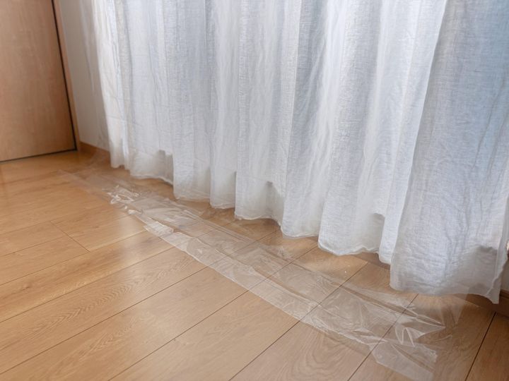人気の理由とは?