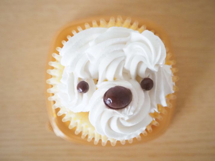 ミニストップ 人気店とのコラボ 犬のバスクチーズケーキはかわいい見た目に反して硬派な味 サンキュ ミニストップ 人気店とのコラボ 犬のバスクチーズケーキはかわいい見た目に反して硬派な味 サンキュ