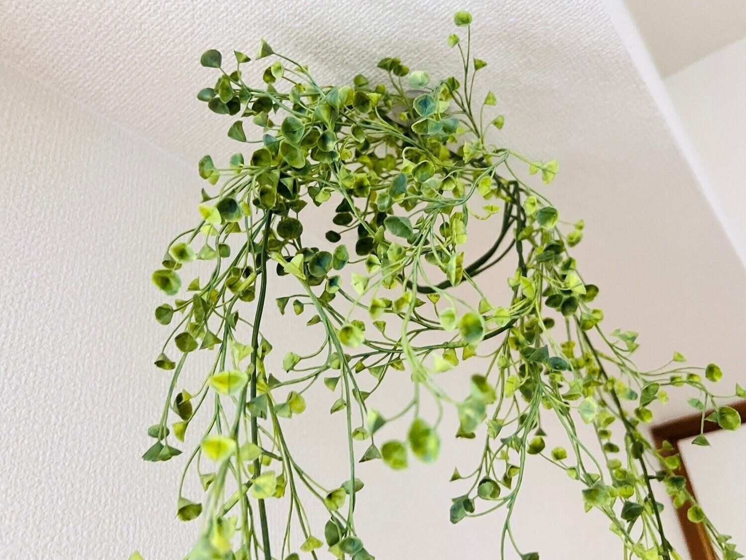 ダイソーで見つけた「きれいにはがせる天デコフック」は優れもの！