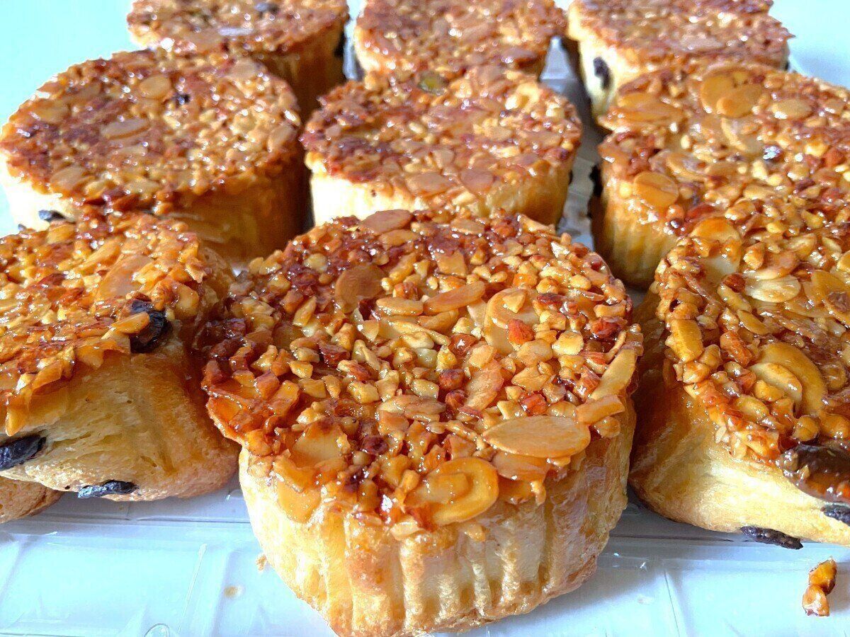 横から見たところ