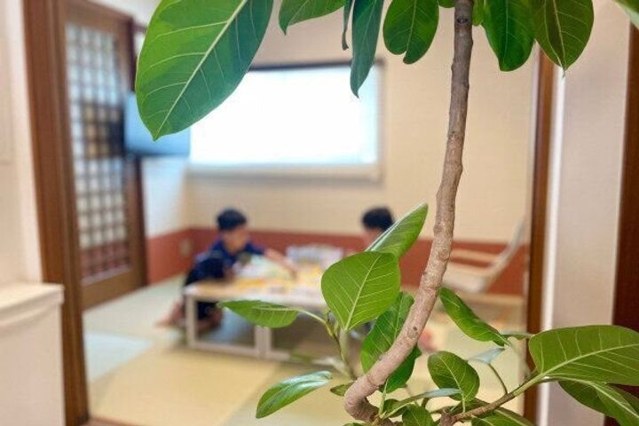 部屋干ししている部屋の日中の様子