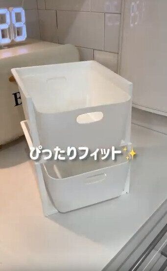 【セリア】セリアのカトレケースとの合わせ技もオススメ