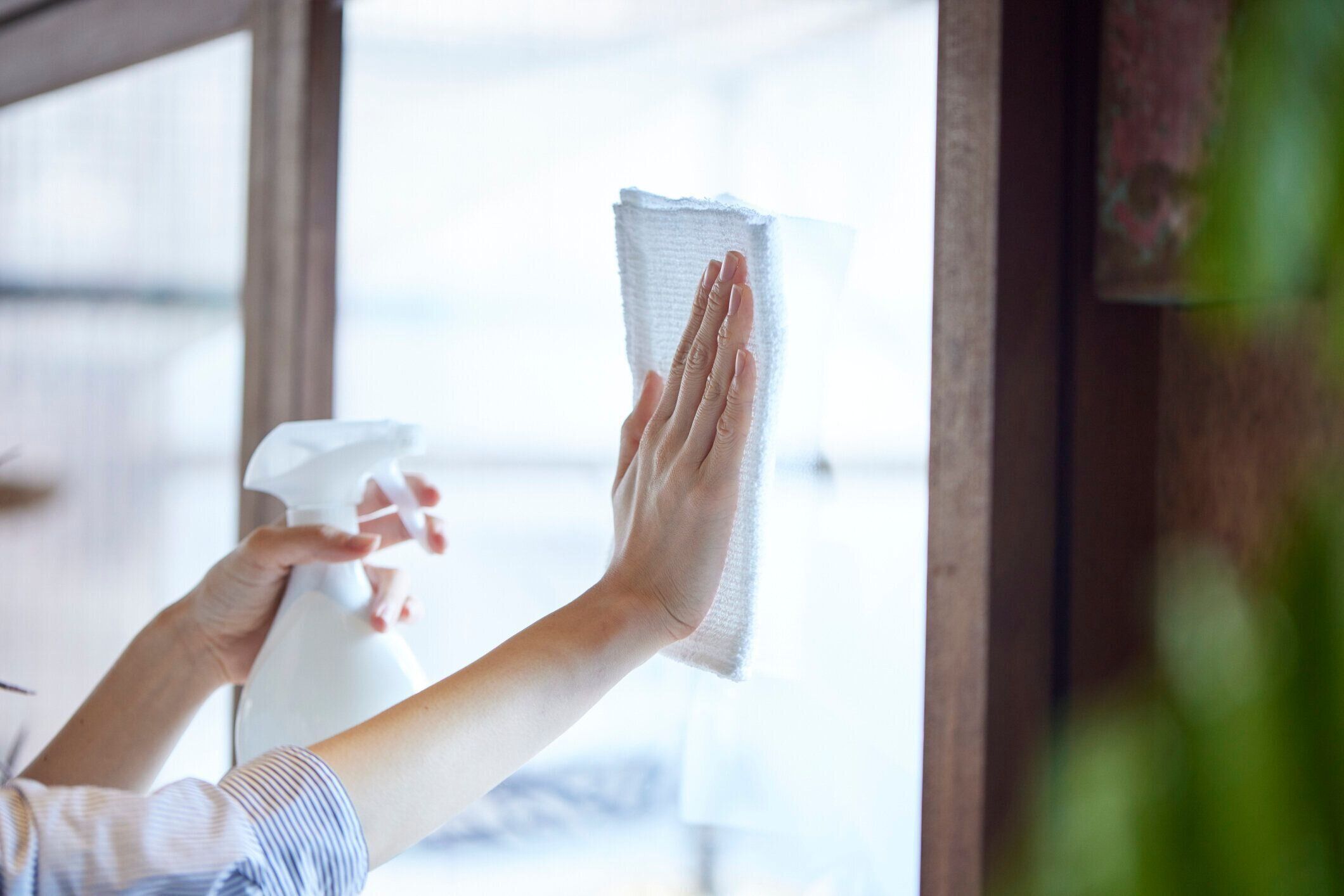 若い日本人女性の掃除