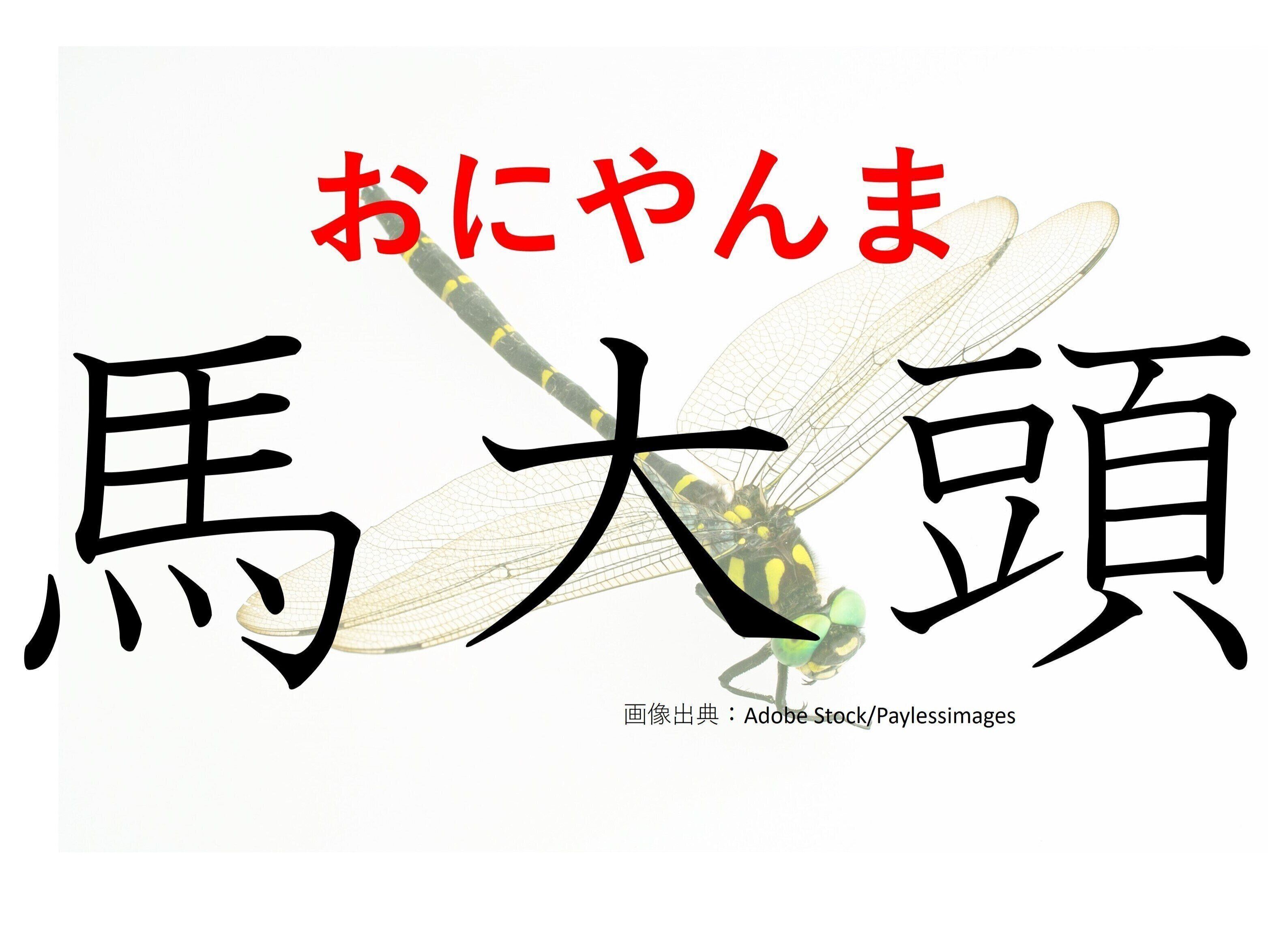 変わったところで人気！難読漢字「馬大頭」はなんて読む？