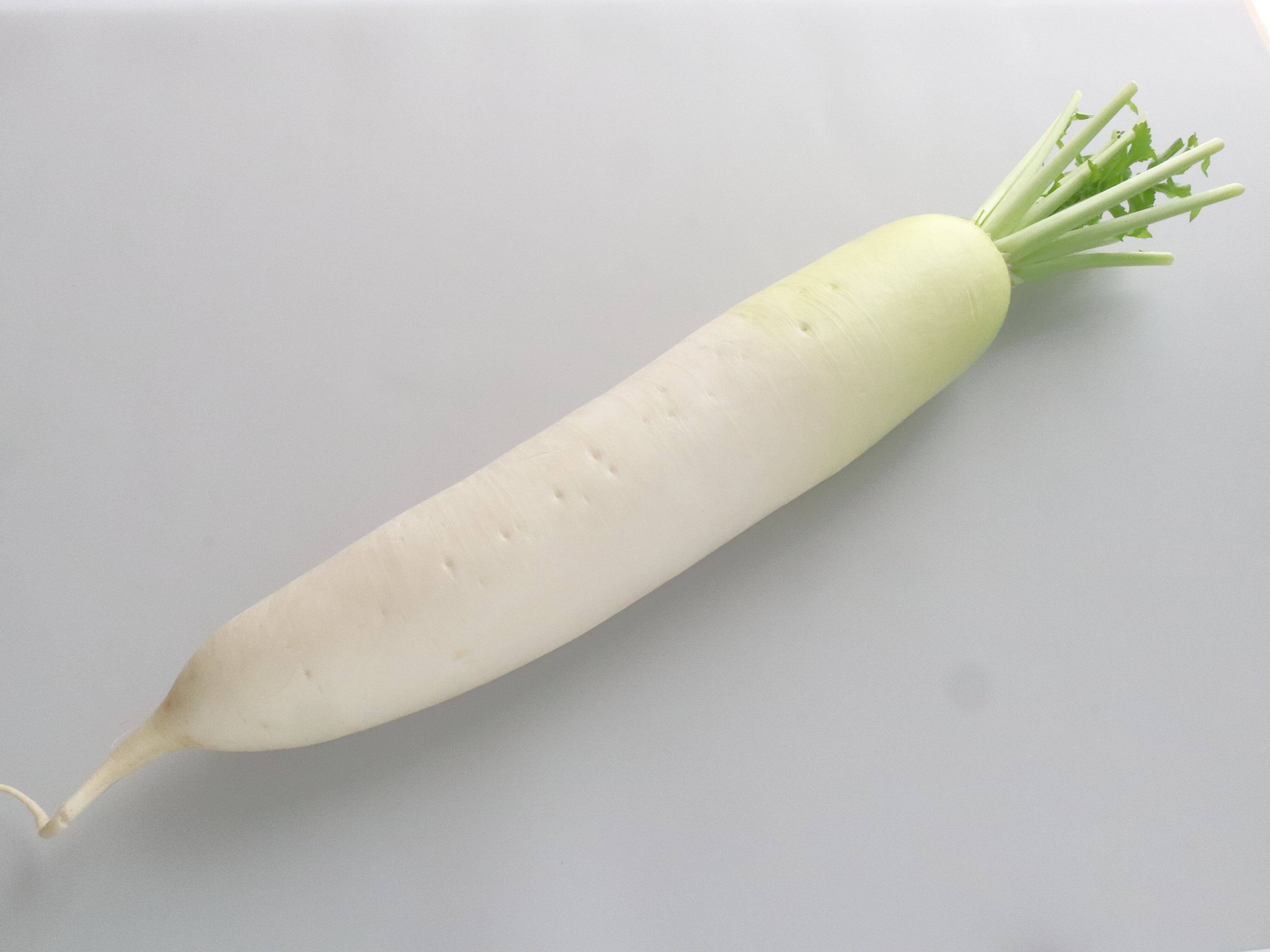 大根の旬は12月〜2月