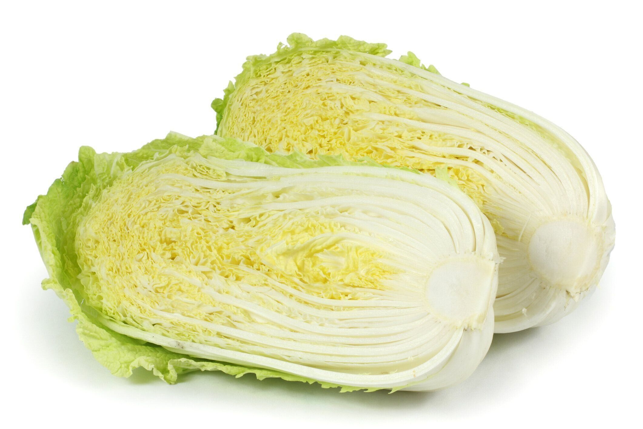 白い背景に分離された白いキャベツ (ハーフカット)
