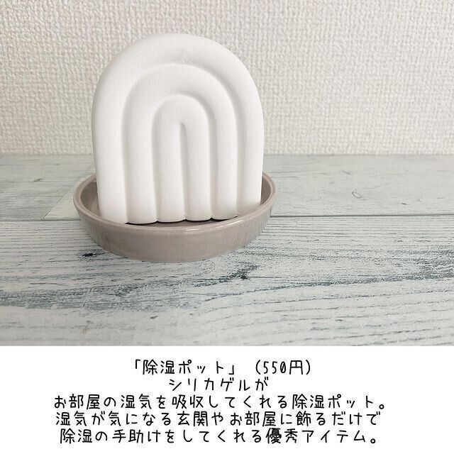 【3COINS】オブジェみたいな除湿ポット