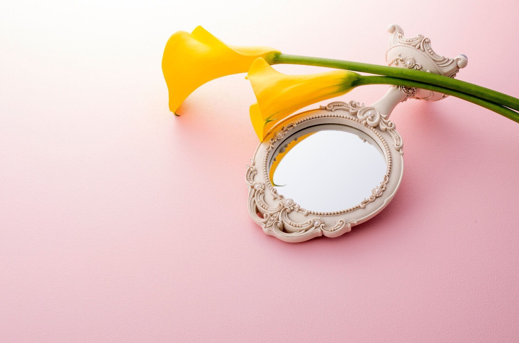 黄色いカラーと鏡