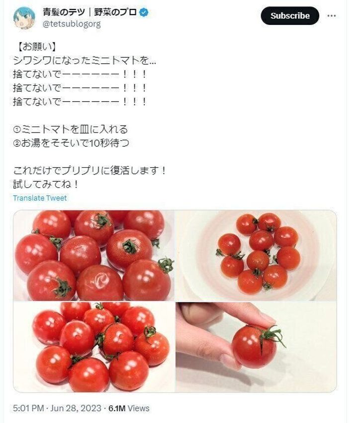 しわしわミニトマトの復活のやりかた
