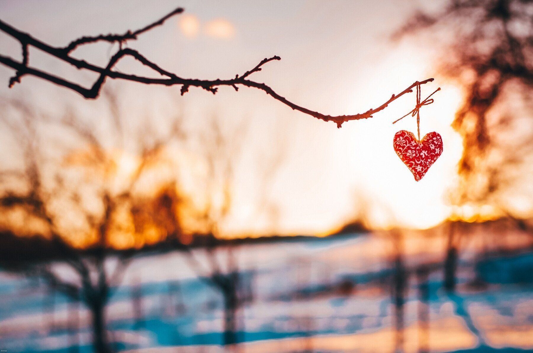 2026年1月の金運アップ風水【Dr.コパの風水解説】