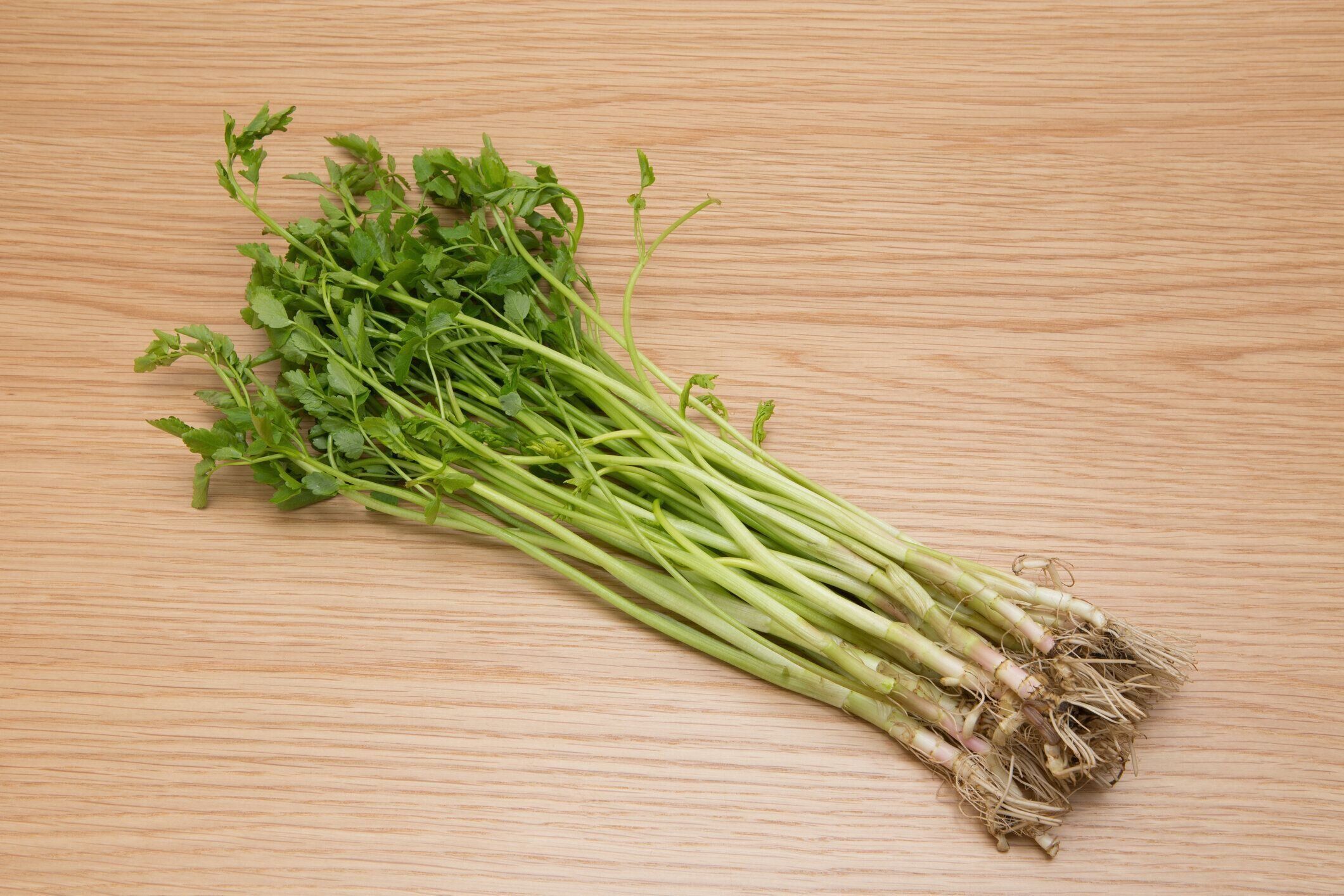 管理栄養士監修 芹 せり の主な栄養素とカロリーまとめ おすすめな調理方法は サンキュ