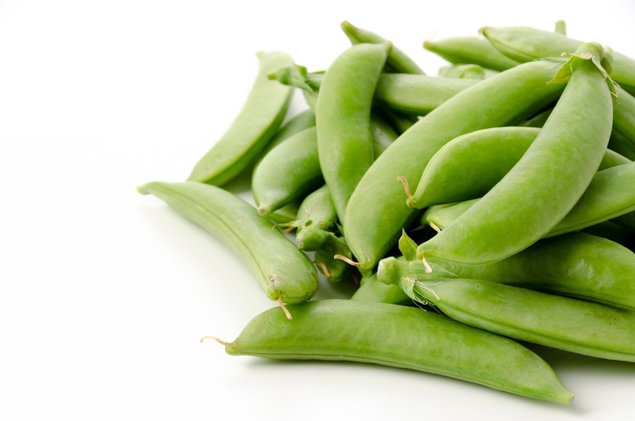 白い背景に砂糖スナップエンドウ。