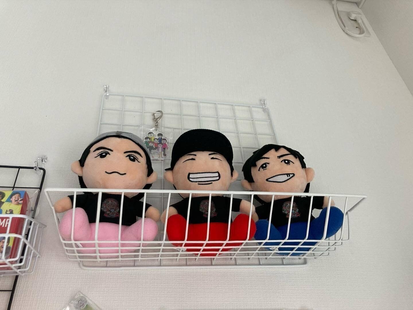 ワイヤーラックを使った壁面収納のアイデア