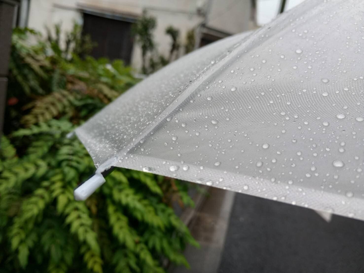 傘についた雨粒