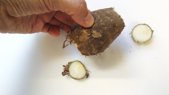 里芋の上下を切る
