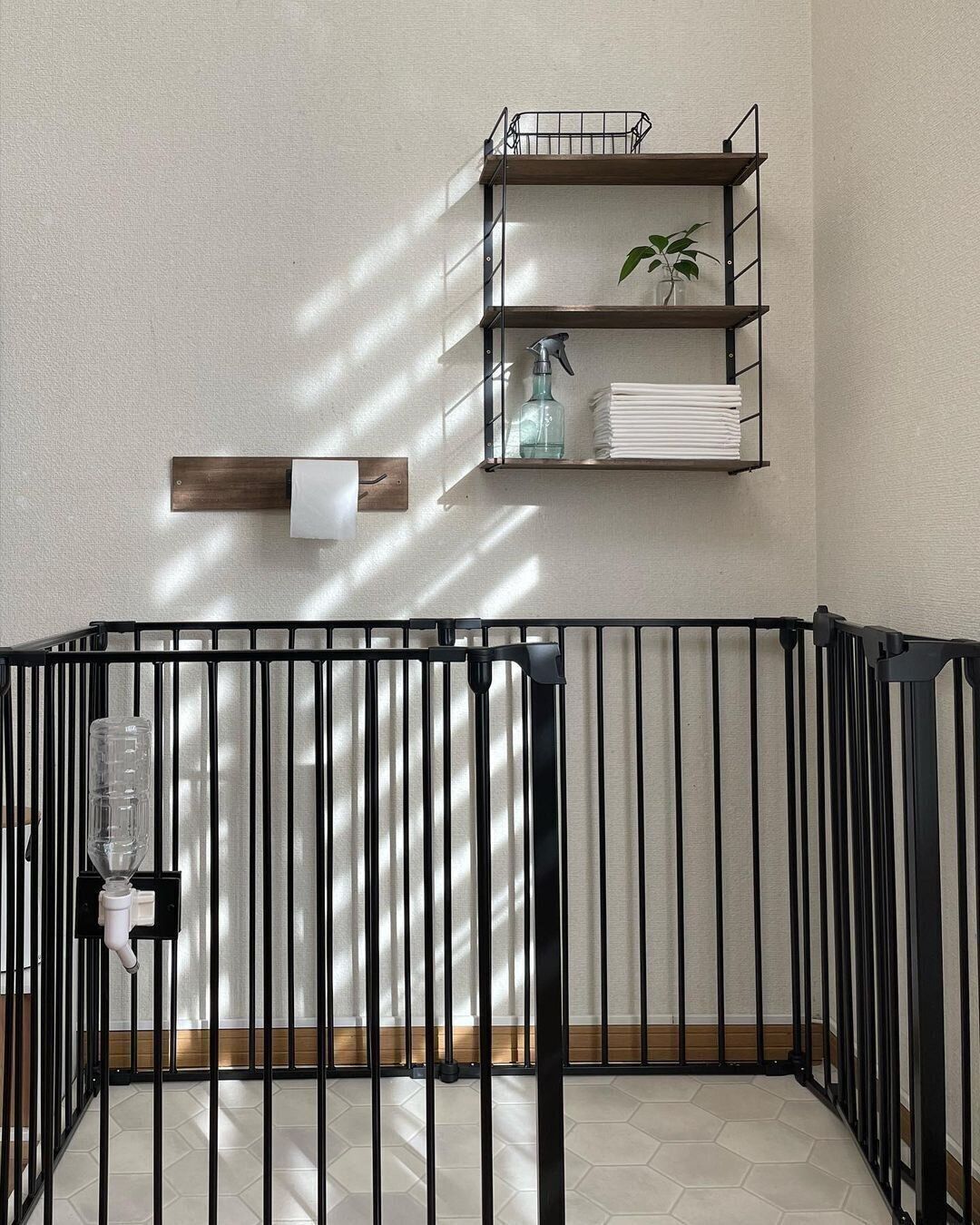 【ダイソー】ペット用品もおしゃれに壁面収納できる