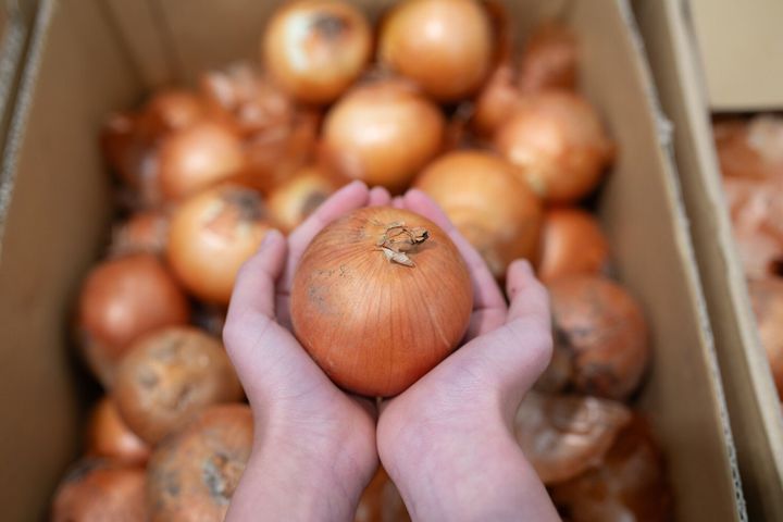 玉ねぎを持つ子どもの手