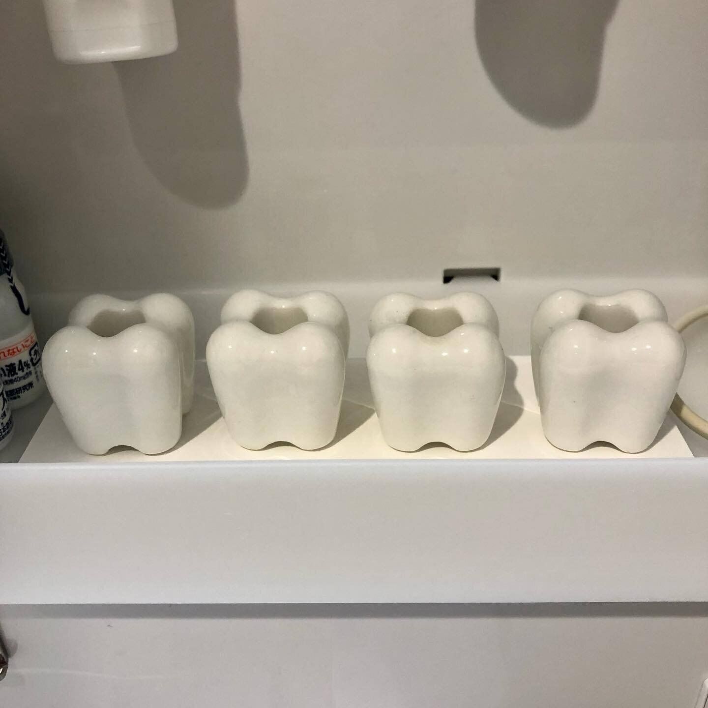 【セリア】ユニークなアイテムで楽しく歯ブラシ収納！