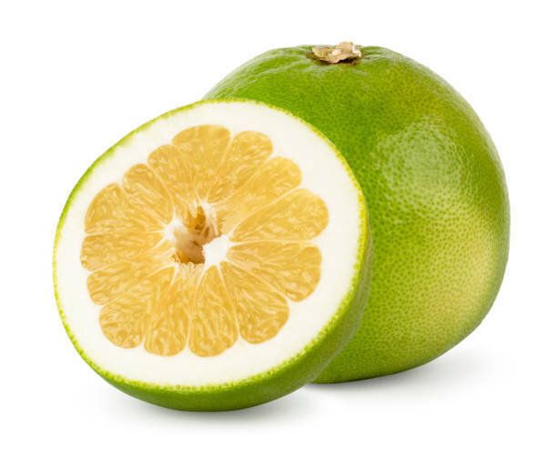 パメラ・グリーンは白く、孤立している。クローズアップ