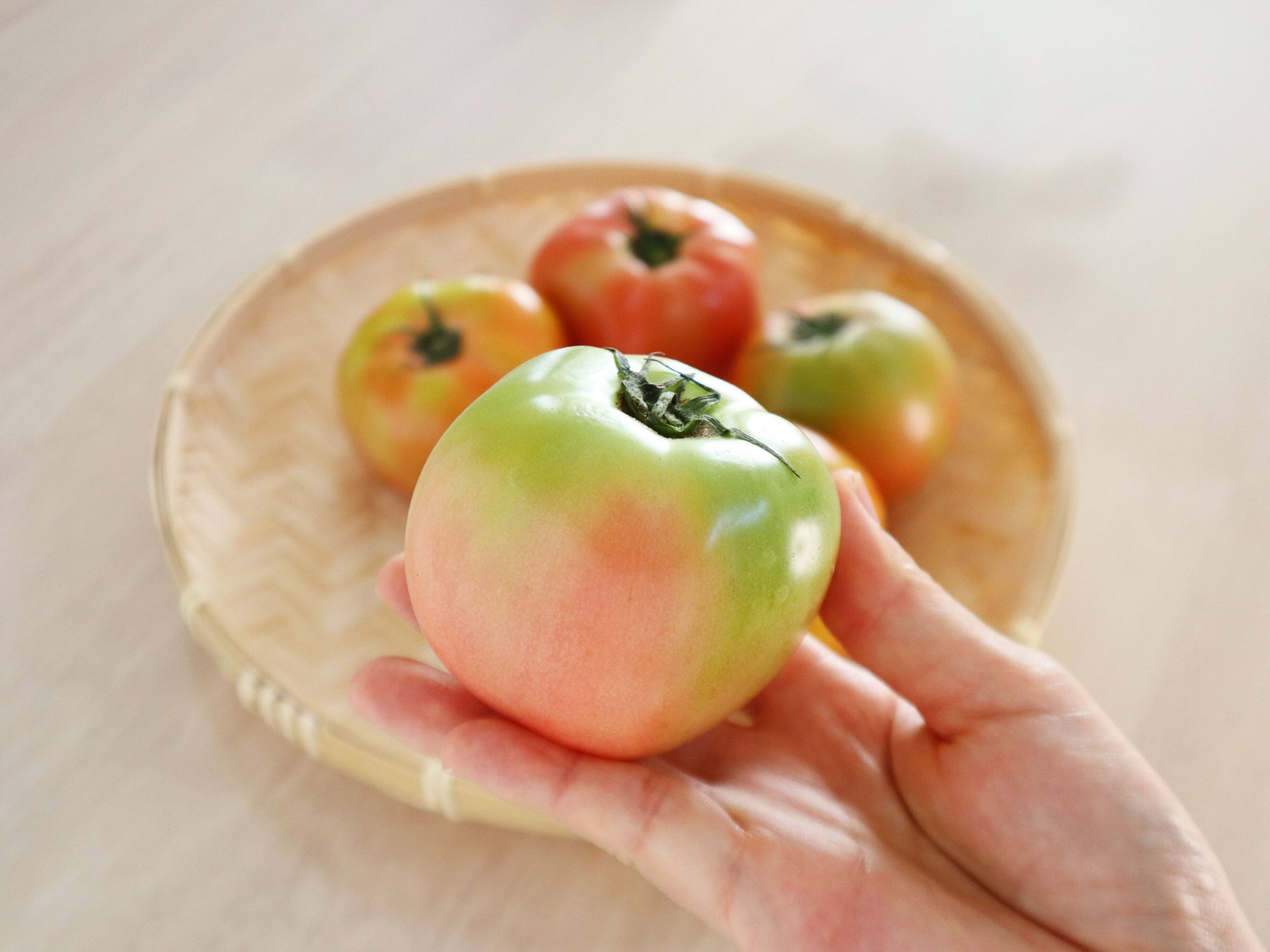 なぜまだ青いトマトが売られるの？