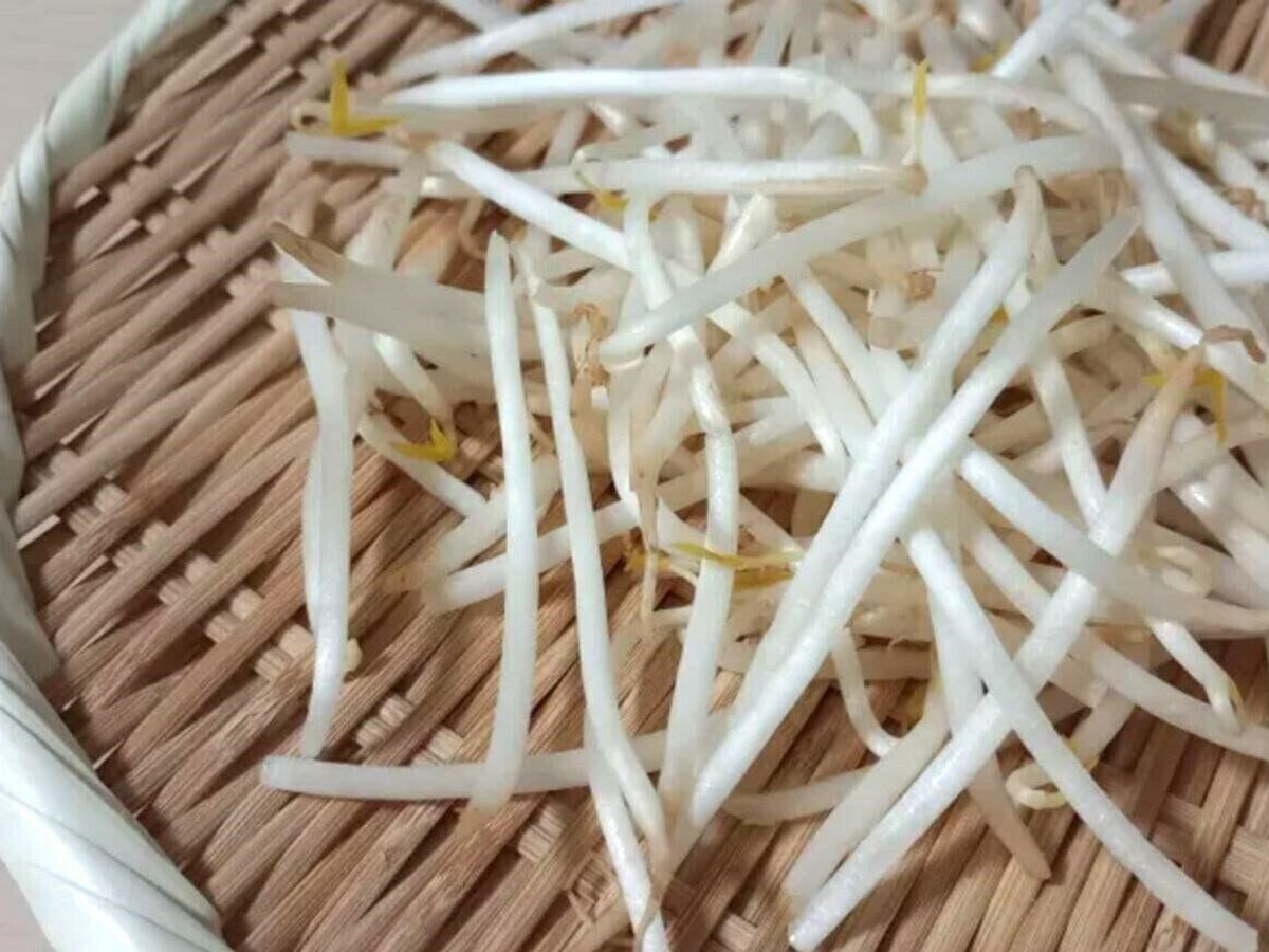 もやし