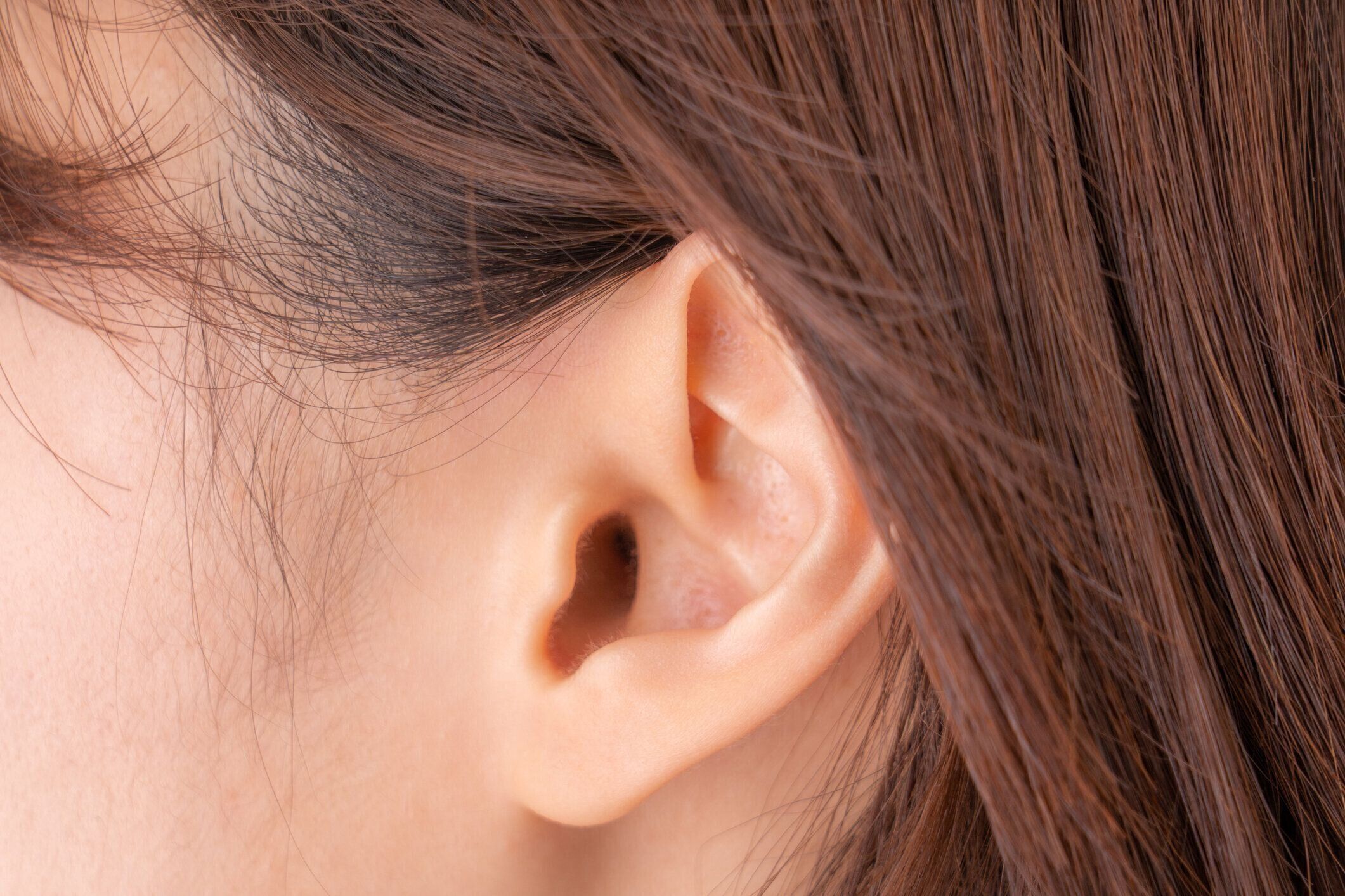女性の耳