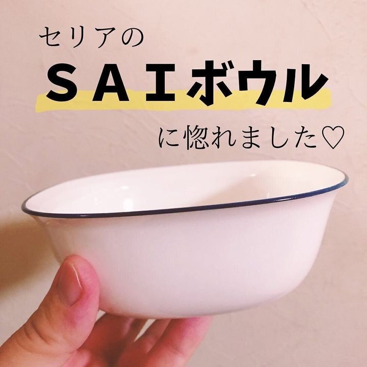 ひとめぼれして爆買い!「SAIボウル」