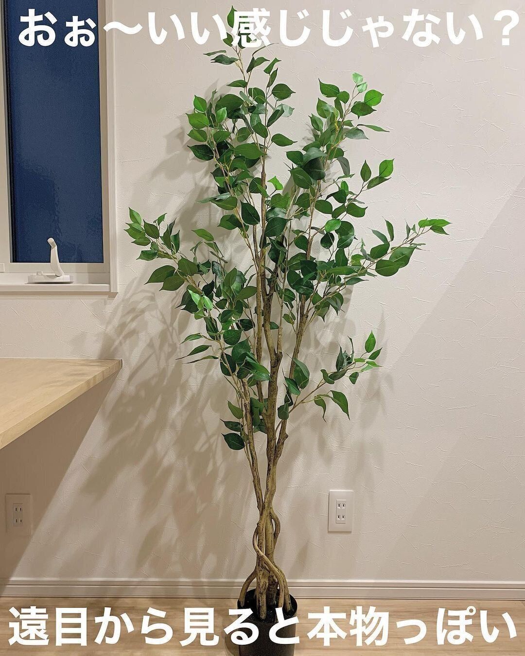 【ニトリ】遠目から見ると本物！フェイクグリーン