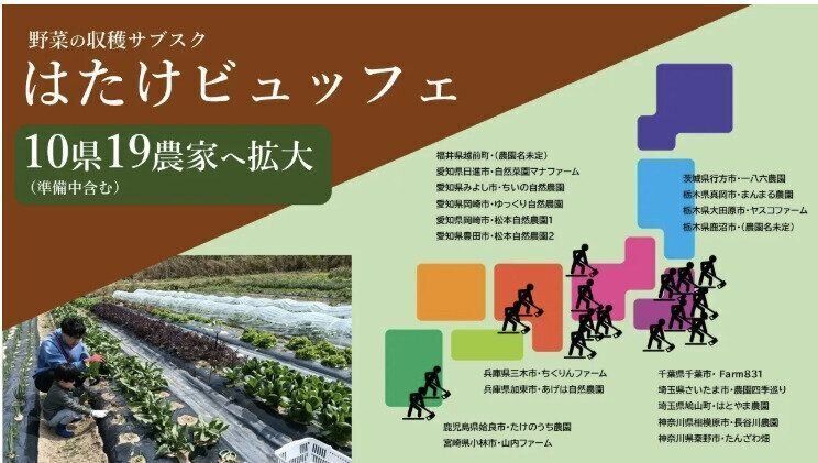 はたけビュッフェ