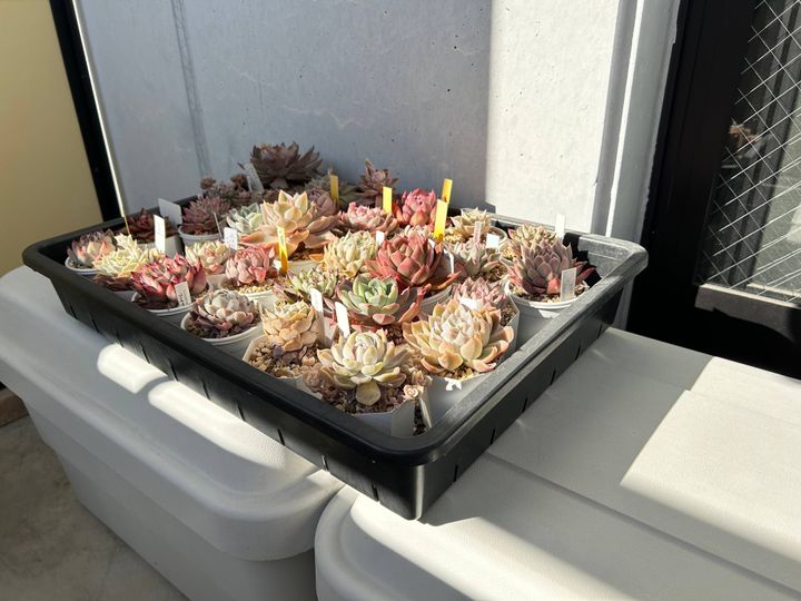 無印良品 収納ボックス