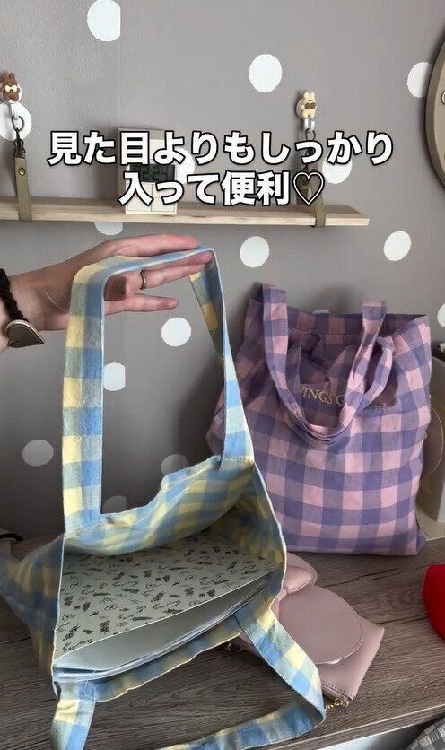 見た目以上にたっぷり入る！「トートバッグギンガムチェック」