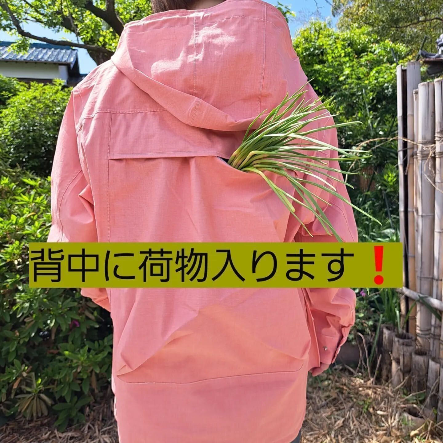 【ワークマン】綿100％なのに防水機能つきのパーカー