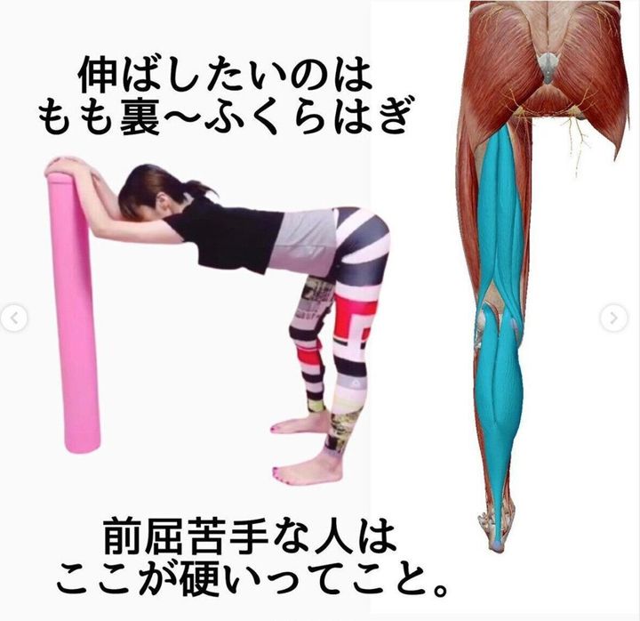 たった1分でok 体が硬い人でもできる 体にいいことだらけの簡単ストレッチ サンキュ たった1分でok 体が硬い人でもできる 体にいいことだらけの簡単ストレッチ サンキュ