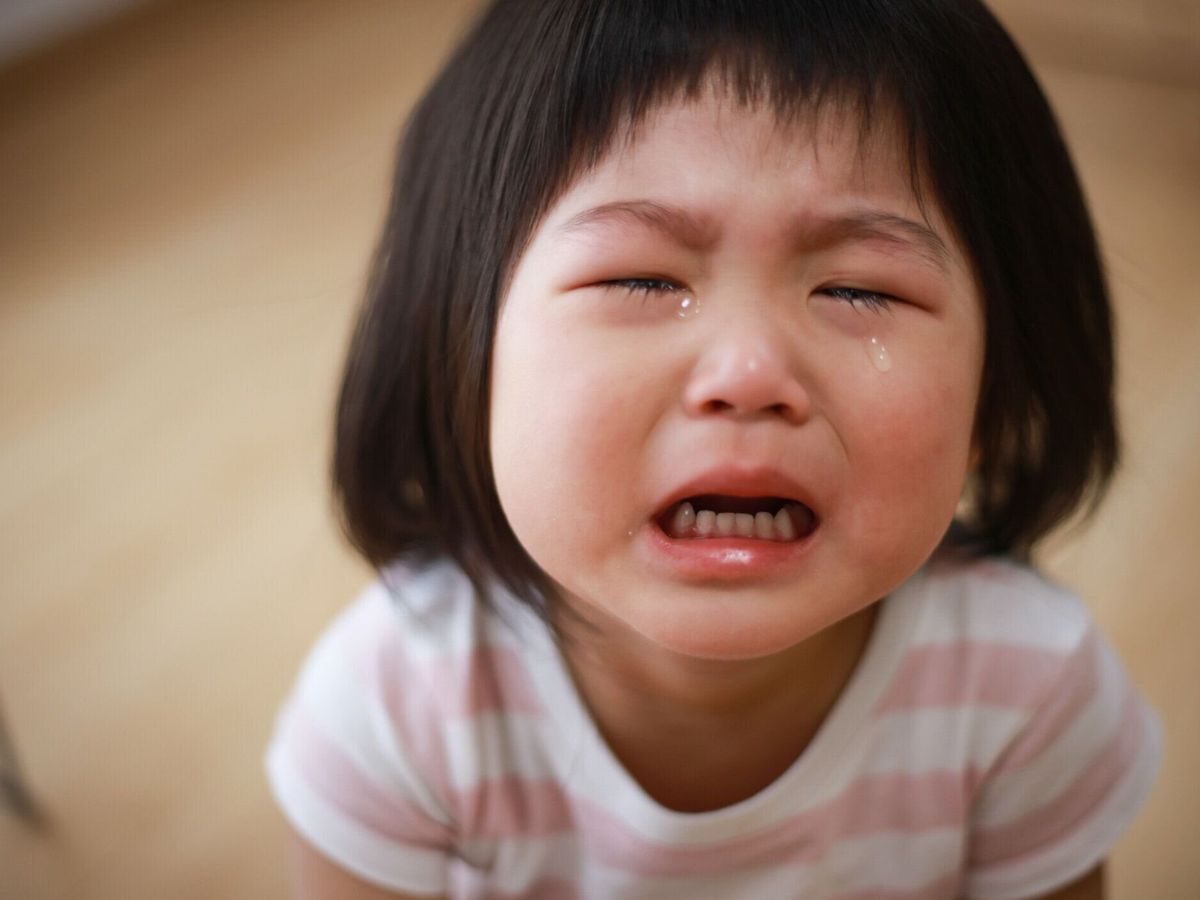 女性の頭