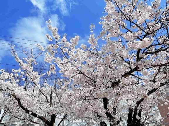 【小学生2児ママ】入学準備であえて買わなかったもの3選