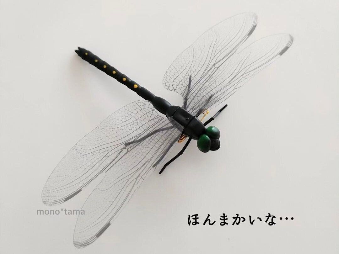 ほんまかいな…【ダイソー】「もう買った？」「機能的」お出かけにもおうちでも！おすすめアイテム5選