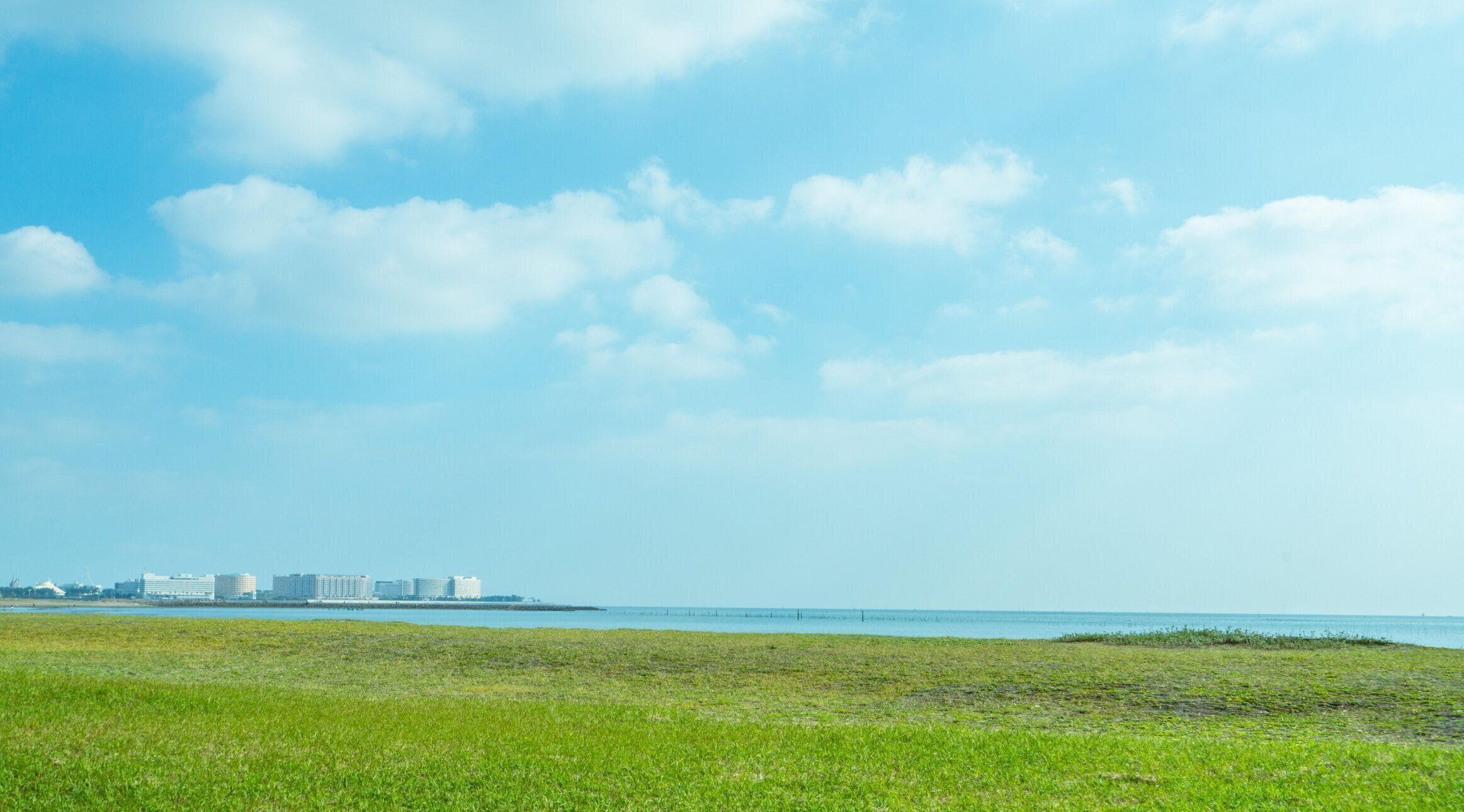 草フィールド湖景観公園背景素材