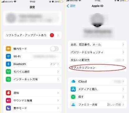 ディズニープラス　解約　Apple
