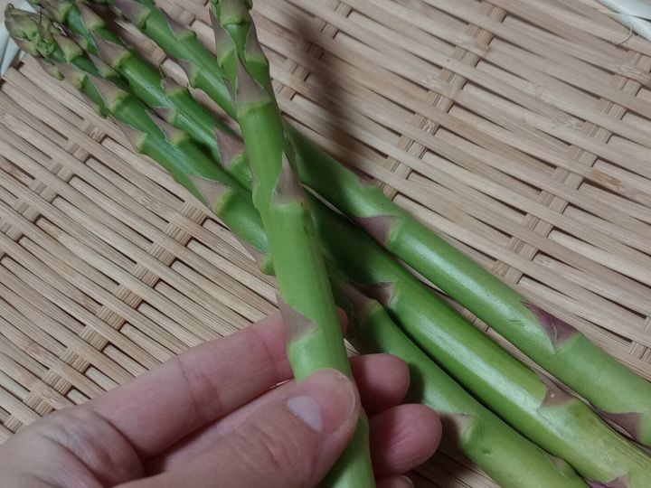 アスパラガス