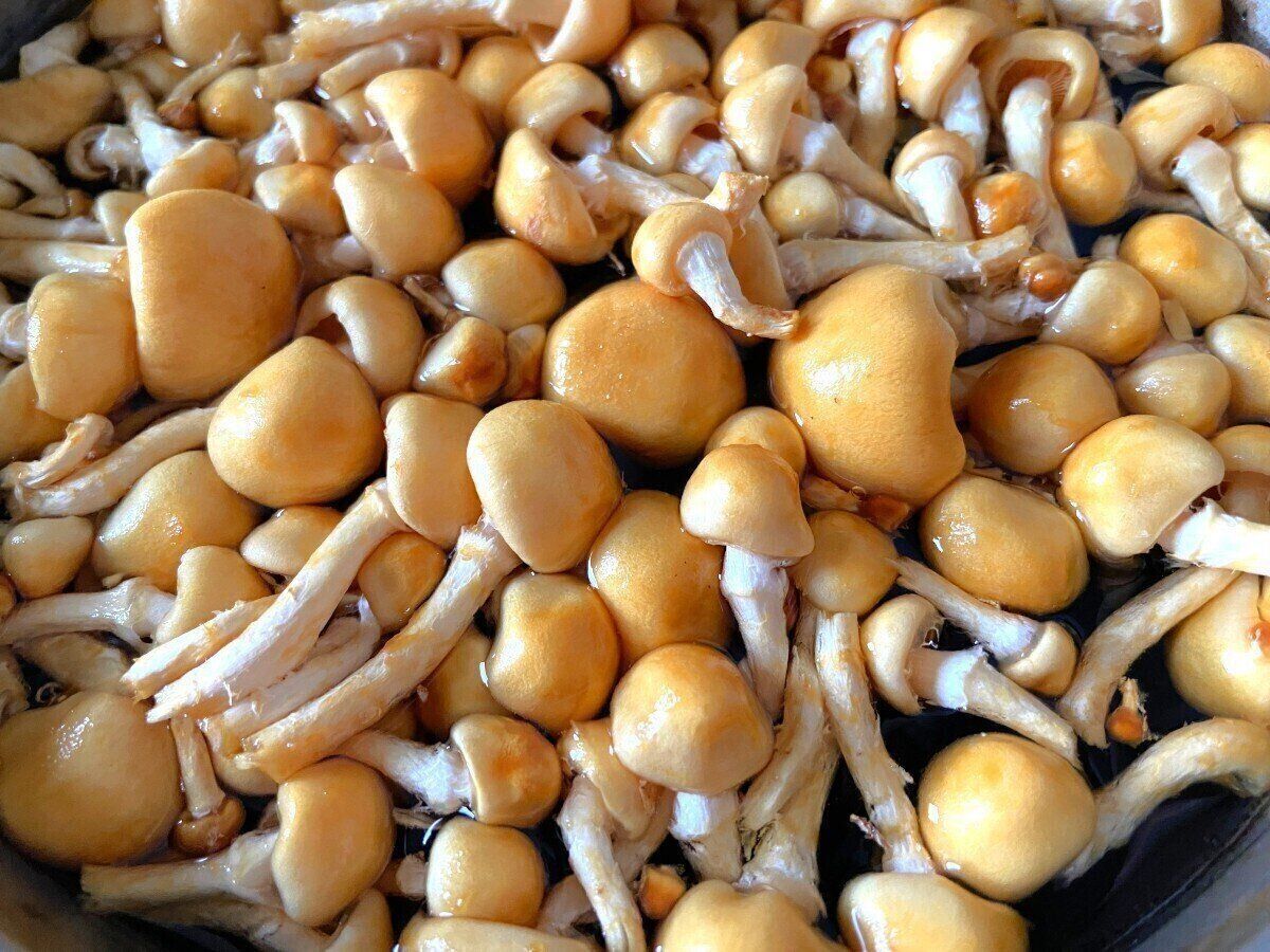 たっぷりなめこ