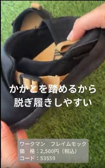 【ワークマン】脱ぎ履ぎが楽で普段履きにもオススメ