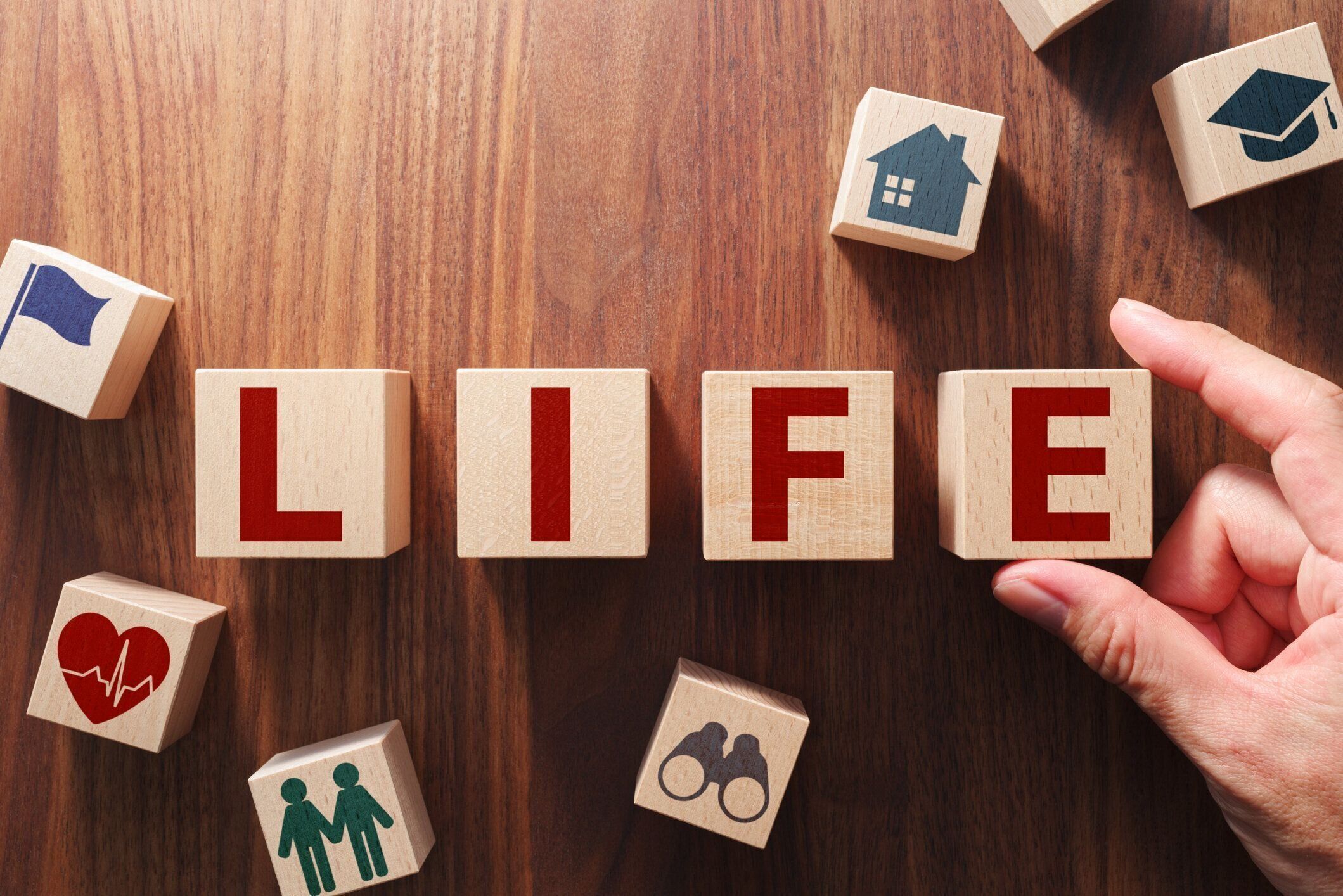 「人生」という言葉。生命計画と保険の概念。