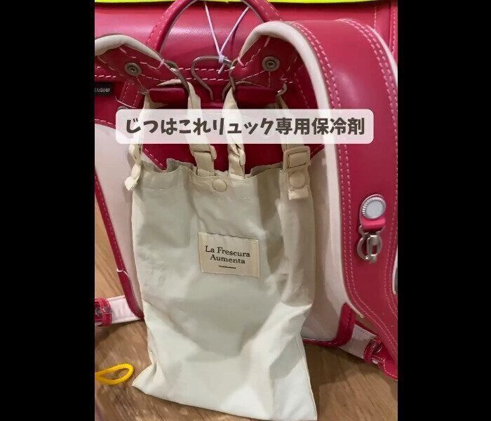 【3COINS】人気すぎて在庫なし！保冷ジェルリュック用